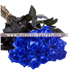 19 Albastrii