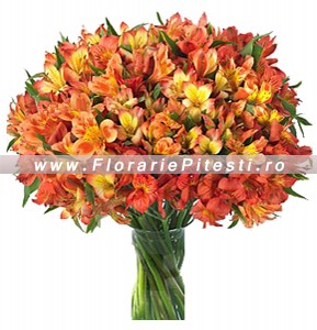 Buchet alstroemeria