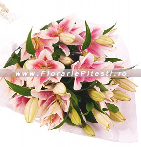 Buchet crini imperiali
