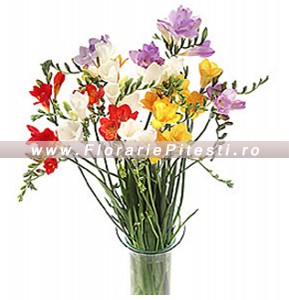 Buchet cu frezii