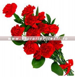 Buchet garoafe rosii