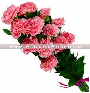 Buchet garoafe roz