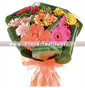 Buchet gerbera multicolore