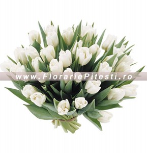 Buchet lalele albe
