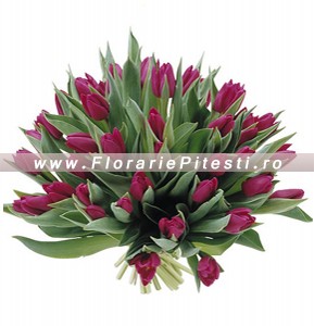 Buchet lalele mov