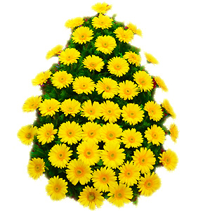 Coroana gerbera