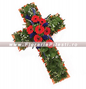 Cruce florala