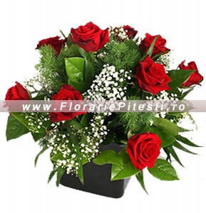 Cub floral modern