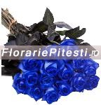 19 Albastrii