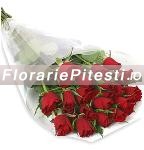 19 Rosii