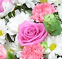 Buchet Elena