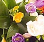 Buchet frezii multicolore
