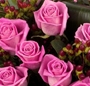 Buchet roz