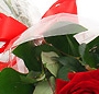 Buchet trandafiri