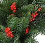 Coronita de Craciun