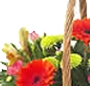 Cosulet rustic