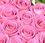 La vie en rose