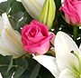 O sclipire
