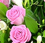 Paradis floral