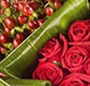 Red cuatro