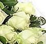 13 trandafiri albi
