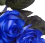 19 Albastrii