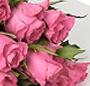 19 Roz