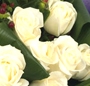 Buchet alb