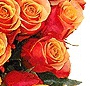 Buchet Cherry