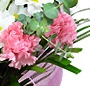Buchet Elena