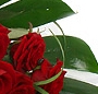 Buchet trandafiri