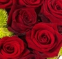 Inima Valentinei