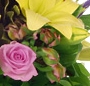 Mix floral
