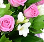 Paradis floral