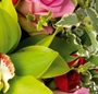Spectacol floral