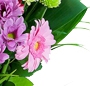 Suras efervescent
