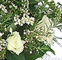 Trandafiri cu gypsophila