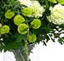 Alb si verde