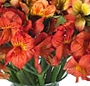 Buchet alstroemeria