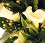 Buchet cale albe