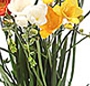 Buchet cu frezii