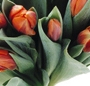 Buchet lalele portocalii