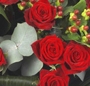 Buchet rosu