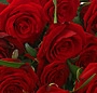 Buchet trandafiri
