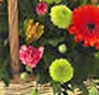 Cosulet rustic