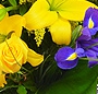 Buchet idilic