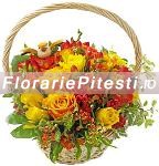 Apus de soare