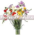 Buchet cu frezii