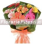 Buchet gerbera multicolore