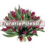 Buchet lalele mov